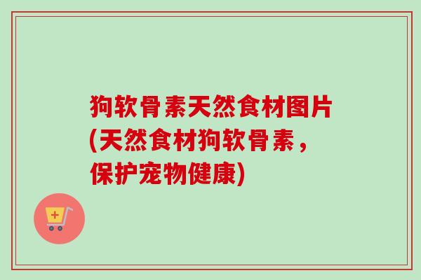 狗软骨素天然食材图片(天然食材狗软骨素，保护宠物健康)