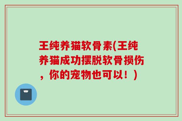 王纯养猫软骨素(王纯养猫成功摆脱软骨损伤，你的宠物也可以！)