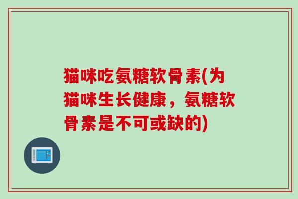 猫咪吃氨糖软骨素(为猫咪生长健康，氨糖软骨素是不可或缺的)