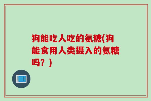 狗能吃人吃的氨糖(狗能食用人类摄入的氨糖吗？)