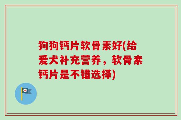狗狗钙片软骨素好(给爱犬补充营养，软骨素钙片是不错选择)