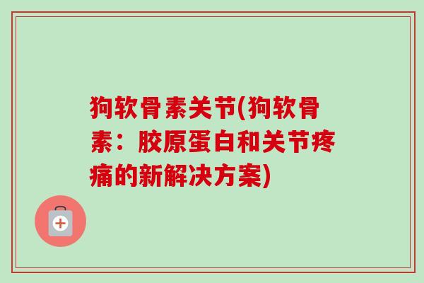 狗软骨素关节(狗软骨素:胶原蛋白和关节的新解决方案) 狗软骨素关节(狗软骨素:胶原蛋白和关节的新解决方案)