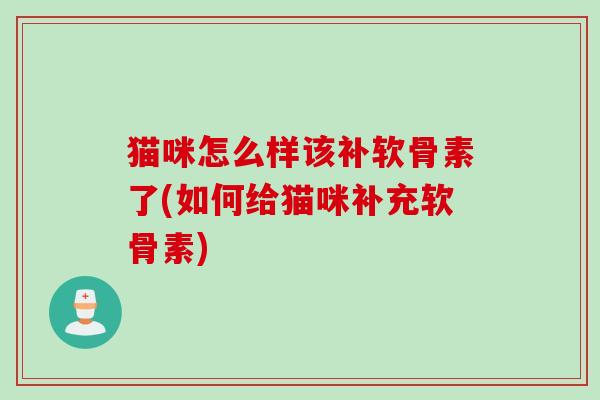 猫咪怎么样该补软骨素了(如何给猫咪补充软骨素)