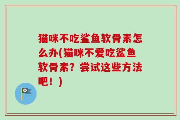 猫咪不吃鲨鱼软骨素怎么办(猫咪不爱吃鲨鱼软骨素？尝试这些方法吧！)