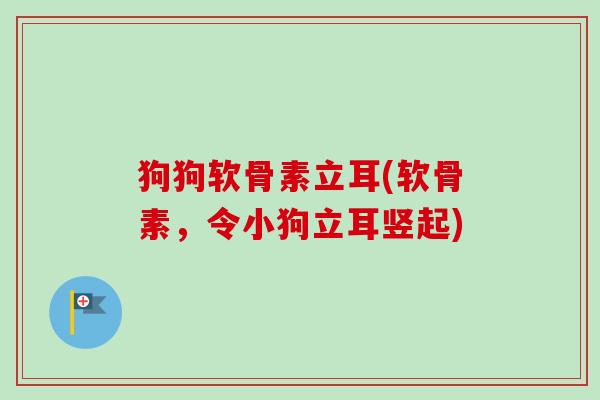 狗狗软骨素立耳(软骨素，令小狗立耳竖起)