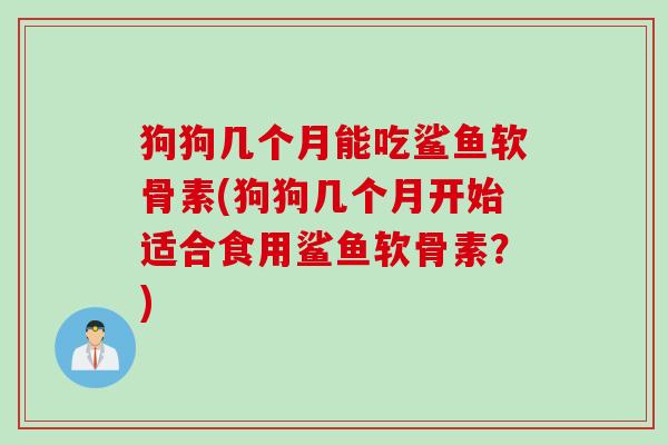 狗狗几个月能吃鲨鱼软骨素(狗狗几个月开始适合食用鲨鱼软骨素？)