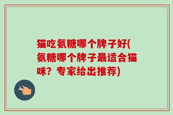 猫吃氨糖哪个牌子好(氨糖哪个牌子最适合猫咪？专家给出推荐)