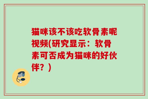 猫咪该不该吃软骨素呢视频(研究显示：软骨素可否成为猫咪的好伙伴？)