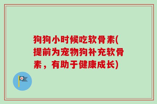 狗狗小时候吃软骨素(提前为宠物狗补充软骨素，有助于健康成长)