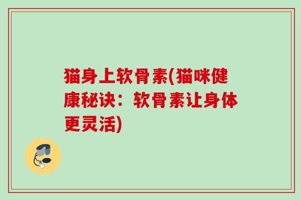 猫身上软骨素(猫咪健康秘诀：软骨素让身体更灵活)