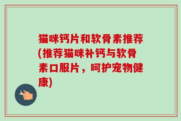 猫咪钙片和软骨素推荐(推荐猫咪补钙与软骨素口服片，呵护宠物健康)