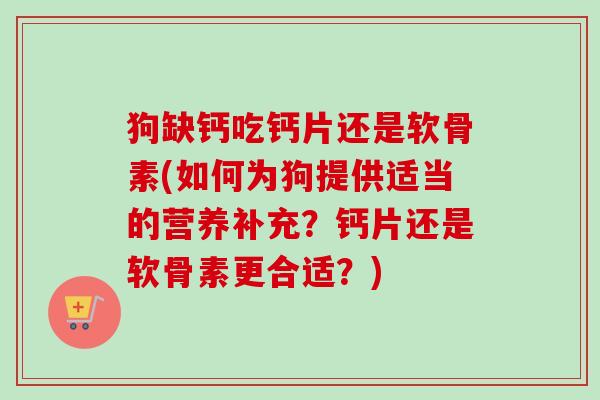 狗缺钙吃钙片还是软骨素(如何为狗提供适当的营养补充?钙片还是软骨素更合适?) 狗缺钙吃钙片还是软骨素(如何为狗提供适当的营养补充?钙片还是软骨素更合适?)