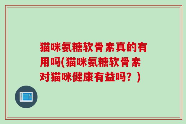 猫咪氨糖软骨素真的有用吗(猫咪氨糖软骨素对猫咪健康有益吗？)