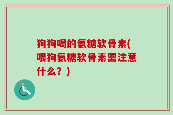 狗狗喝的氨糖软骨素(喂狗氨糖软骨素需注意什么?) 狗狗喝的氨糖软骨素(喂狗氨糖软骨素需注意什么?)
