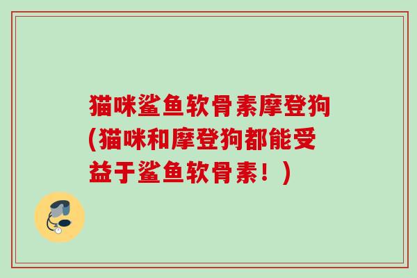 猫咪鲨鱼软骨素摩登狗(猫咪和摩登狗都能受益于鲨鱼软骨素！)
