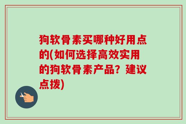 狗软骨素买哪种好用点的(如何选择高效实用的狗软骨素产品？建议点拨)