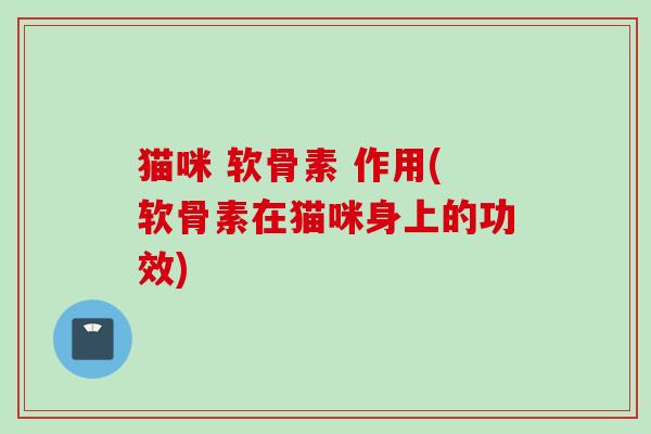 猫咪 软骨素 作用(软骨素在猫咪身上的功效) 猫咪 软骨素 作用(软骨素在猫咪身上的功效)