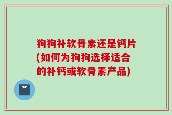 狗狗补软骨素还是钙片(如何为狗狗选择适合的补钙或软骨素产品)