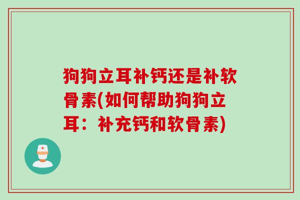 狗狗立耳补钙还是补软骨素(如何帮助狗狗立耳：补充钙和软骨素)