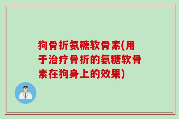 狗骨折氨糖软骨素(用于治疗骨折的氨糖软骨素在狗身上的效果)