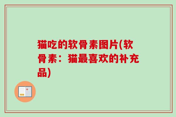 猫吃的软骨素图片(软骨素：猫最喜欢的补充品)