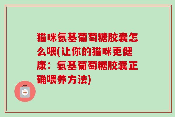 猫咪氨基葡萄糖胶囊怎么喂(让你的猫咪更健康：氨基葡萄糖胶囊正确喂养方法)
