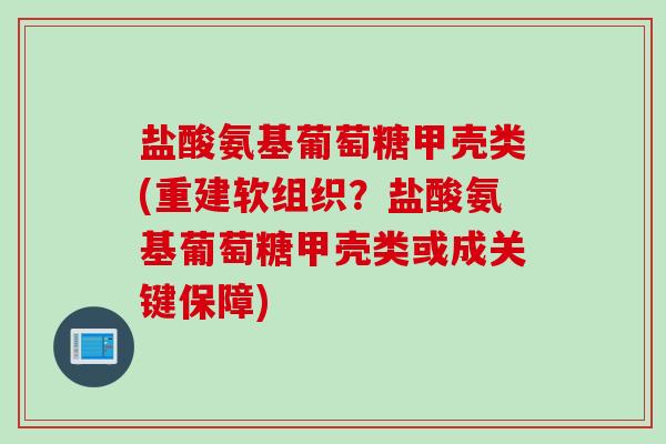 盐酸氨基葡萄糖甲壳类(重建软组织？盐酸氨基葡萄糖甲壳类或成关键保障)