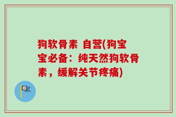 狗软骨素 自营(狗宝宝必备：纯天然狗软骨素，缓解关节疼痛)