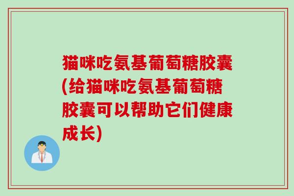 猫咪吃氨基葡萄糖胶囊(给猫咪吃氨基葡萄糖胶囊可以帮助它们健康成长)