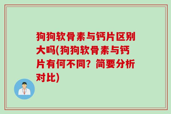 狗狗软骨素与钙片区别大吗(狗狗软骨素与钙片有何不同？简要分析对比)
