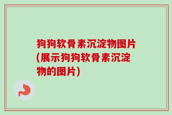 狗狗软骨素沉淀物图片(展示狗狗软骨素沉淀物的图片)