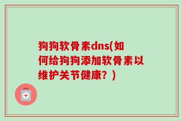 狗狗软骨素dns(如何给狗狗添加软骨素以维护关节健康？)
