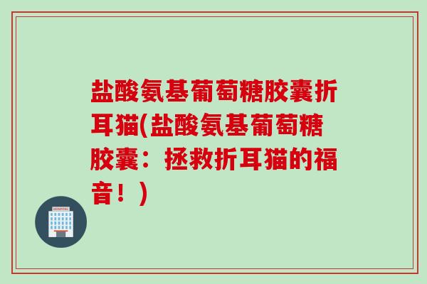 盐酸氨基葡萄糖胶囊折耳猫(盐酸氨基葡萄糖胶囊：拯救折耳猫的福音！)