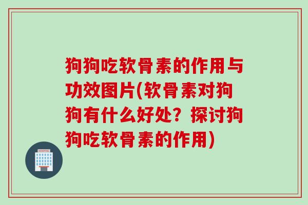 狗狗吃软骨素的作用与功效图片(软骨素对狗狗有什么好处?探讨狗狗吃软骨素的作用) 狗狗吃软骨素的作用与功效图片(软骨素对狗狗有什么好处?探讨狗狗吃软骨素的作用)