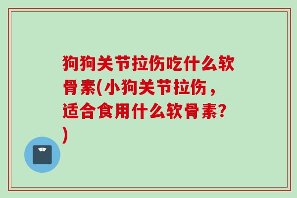狗狗关节拉伤吃什么软骨素(小狗关节拉伤，适合食用什么软骨素？)