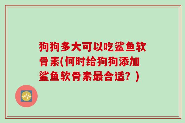狗狗多大可以吃鲨鱼软骨素(何时给狗狗添加鲨鱼软骨素最合适？)