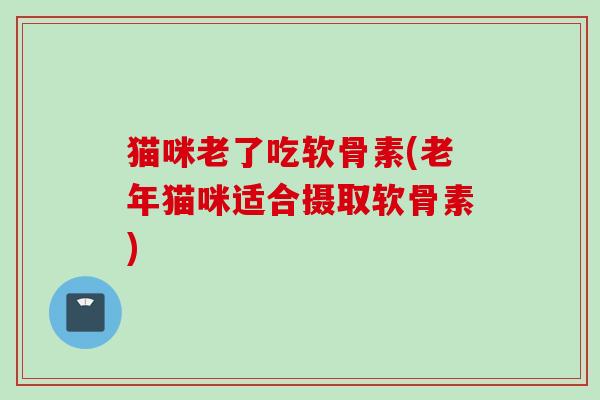 猫咪老了吃软骨素(老年猫咪适合摄取软骨素)