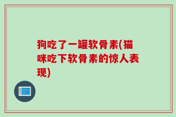 狗吃了一罐软骨素(猫咪吃下软骨素的惊人表现)