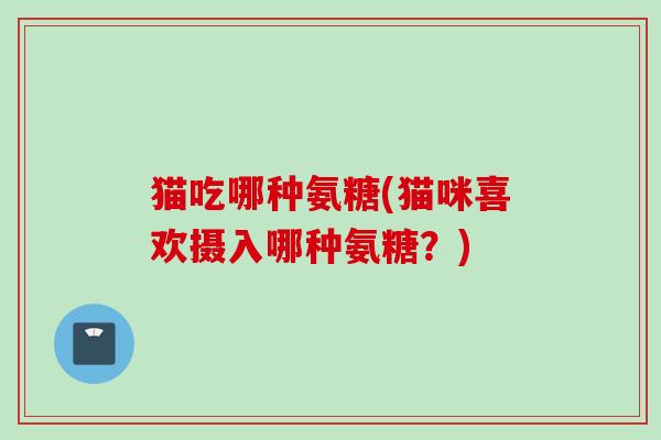 猫吃哪种氨糖(猫咪喜欢摄入哪种氨糖？)