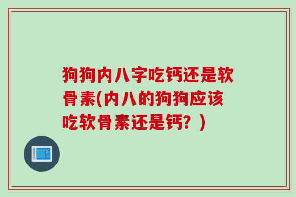狗狗内八字吃钙还是软骨素(内八的狗狗应该吃软骨素还是钙？)