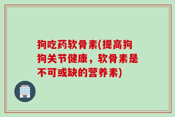 狗吃药软骨素(提高狗狗关节健康，软骨素是不可或缺的营养素)