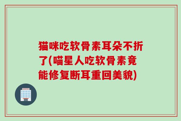 猫咪吃软骨素耳朵不折了(喵星人吃软骨素竟能修复断耳重回美貌)