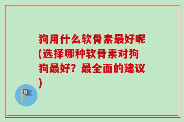 狗用什么软骨素最好呢(选择哪种软骨素对狗狗最好？最全面的建议)