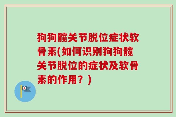 狗狗髋关节脱位症状软骨素(如何识别狗狗髋关节脱位的症状及软骨素的作用？)