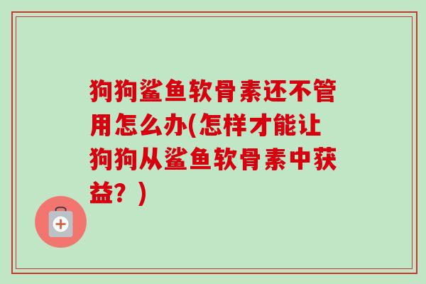 狗狗鲨鱼软骨素还不管用怎么办(怎样才能让狗狗从鲨鱼软骨素中获益？)
