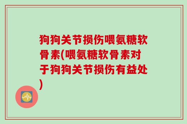 狗狗关节损伤喂氨糖软骨素(喂氨糖软骨素对于狗狗关节损伤有益处)
