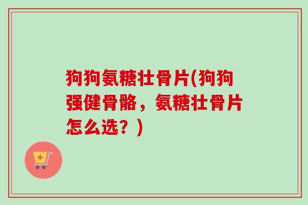 狗狗氨糖壮骨片(狗狗强健骨骼，氨糖壮骨片怎么选？)