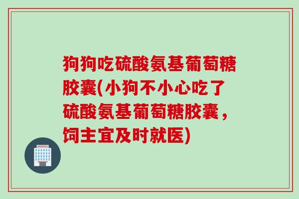 狗狗吃硫酸氨基葡萄糖胶囊(小狗不小心吃了硫酸氨基葡萄糖胶囊，饲主宜及时就医)