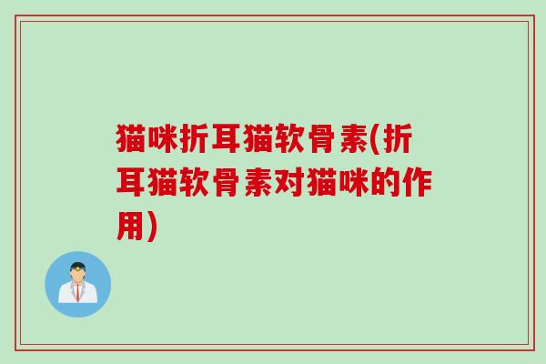 猫咪折耳猫软骨素(折耳猫软骨素对猫咪的作用)