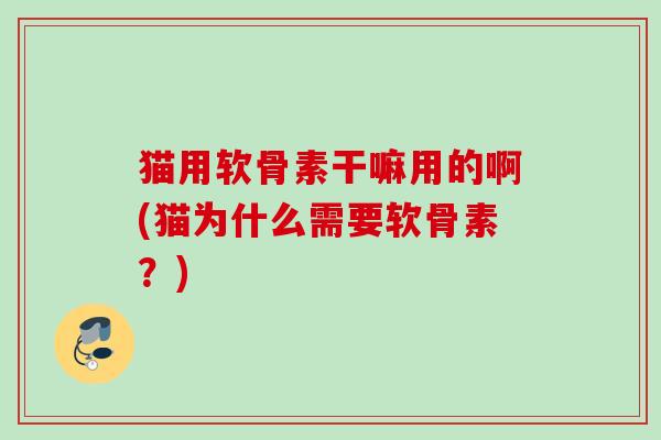 猫用软骨素干嘛用的啊(猫为什么需要软骨素？)